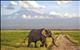 جاذبه‌های گردشگری مومباسا در کنیا